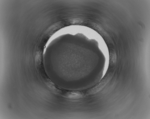 X0000112850475200910021255