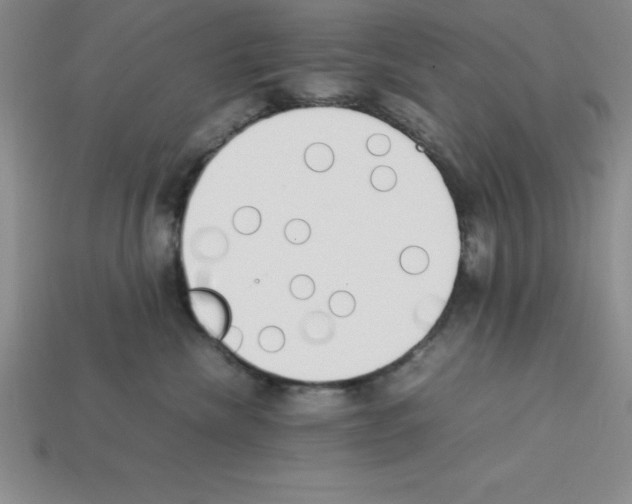 X0000112850476200910021255