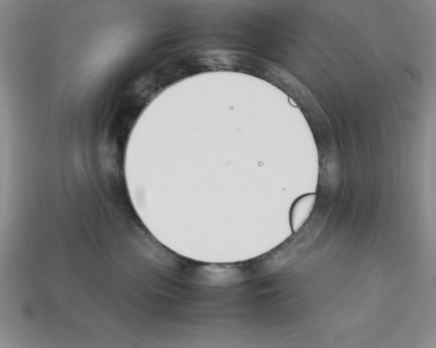 X0000112850477200910021255