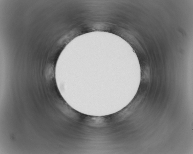 X0000112850478200910021255