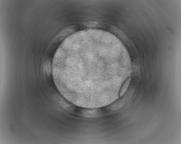 X0000112850479200910021255