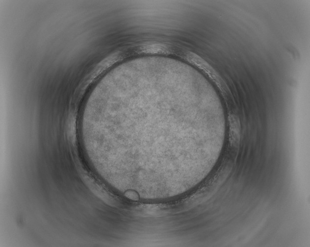 X0000112850482200910021254