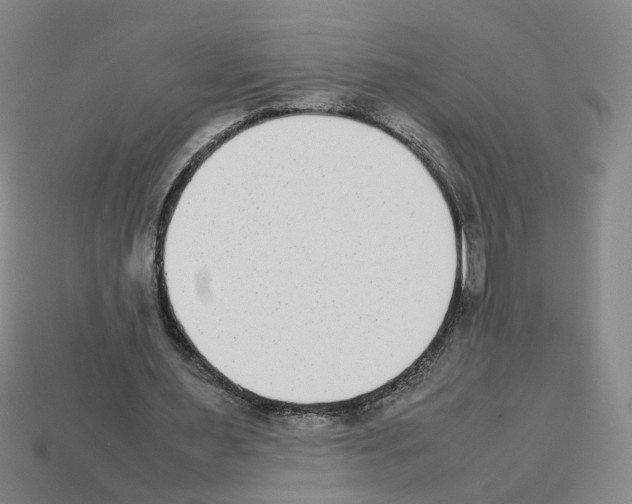 X0000112850483200910021254