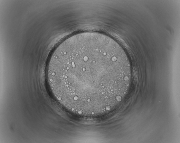 X0000112850487200910021254