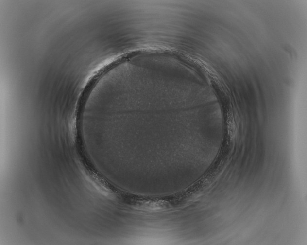 X0000112850488200910021254