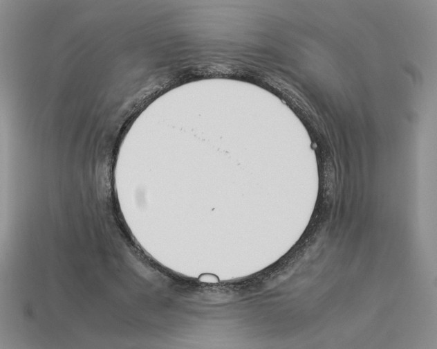 X0000112850489200910021254