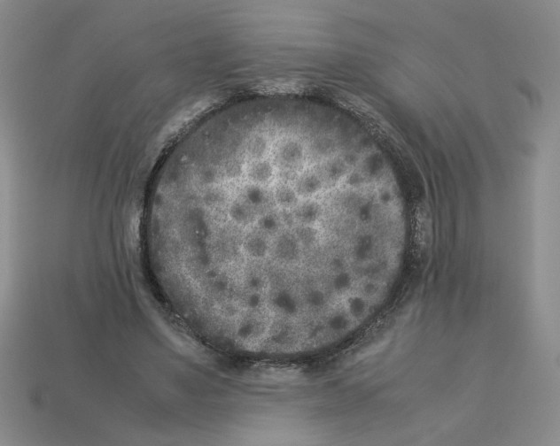 X0000112850491200910021254