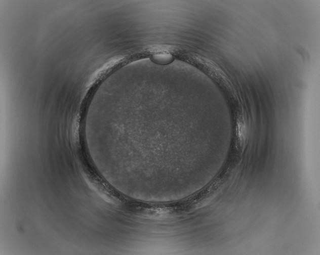 X0000112850492200910021254