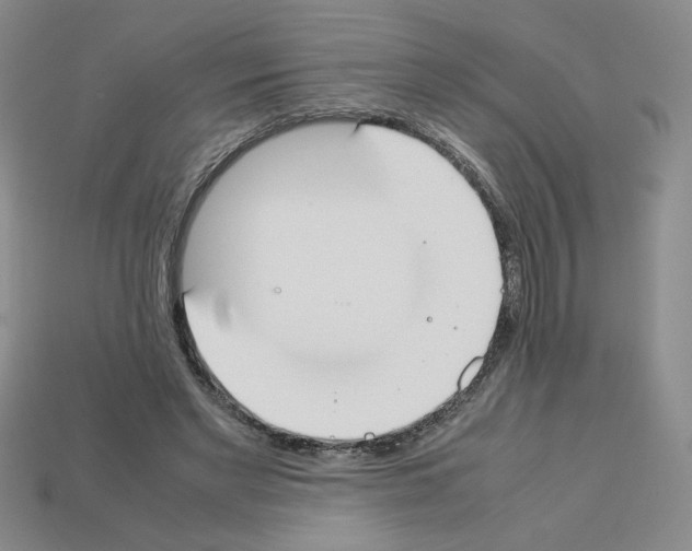 X0000112850493200910021254