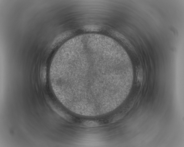 X0000112850494200910021254