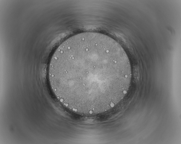 X0000112850495200910021254