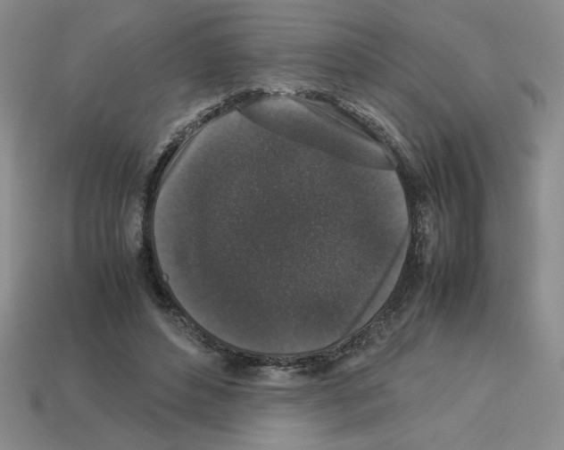 X0000112850496200910021254