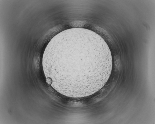 X0000112850498200910021254