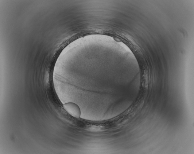 X0000112850500200910021254