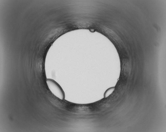 X0000112850501200910021254