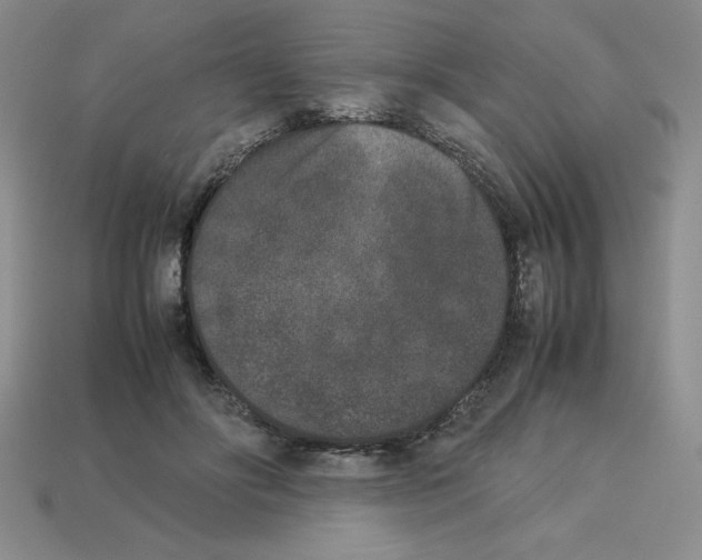 X0000112850502200910021254