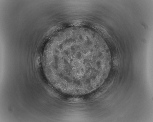 X0000112850503200910021254