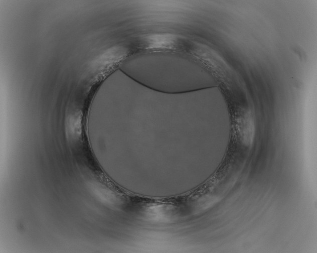 X0000112850504200910021254