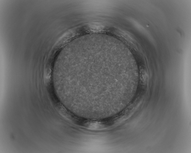 X0000112850507200910021254