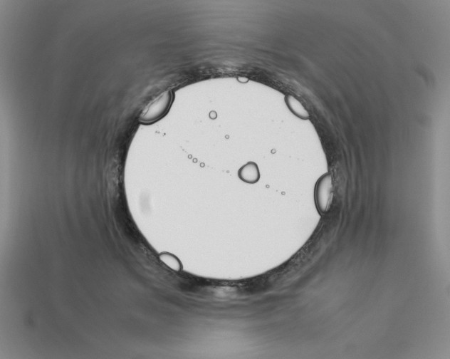 X0000112850509200910021254