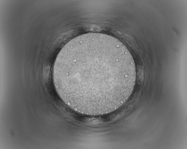 X0000112850511200910021254