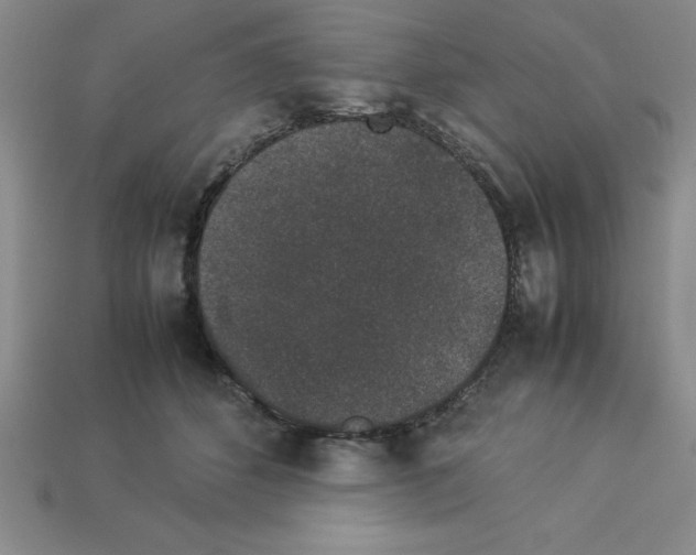 X0000112850512200910021254