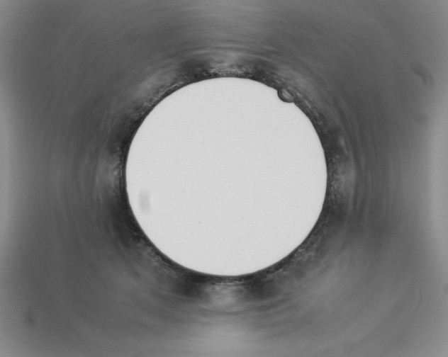 X0000112850513200910021254