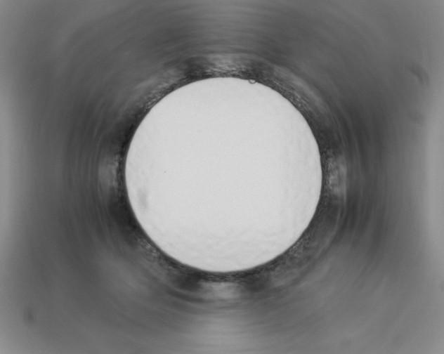 X0000112850514200910021254