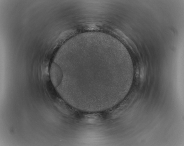 X0000112850516200910021254