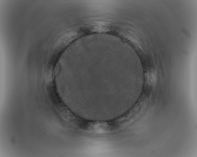 X0000112850517200910021254