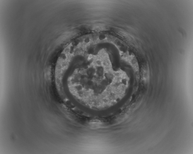 X0000112850519200910021254