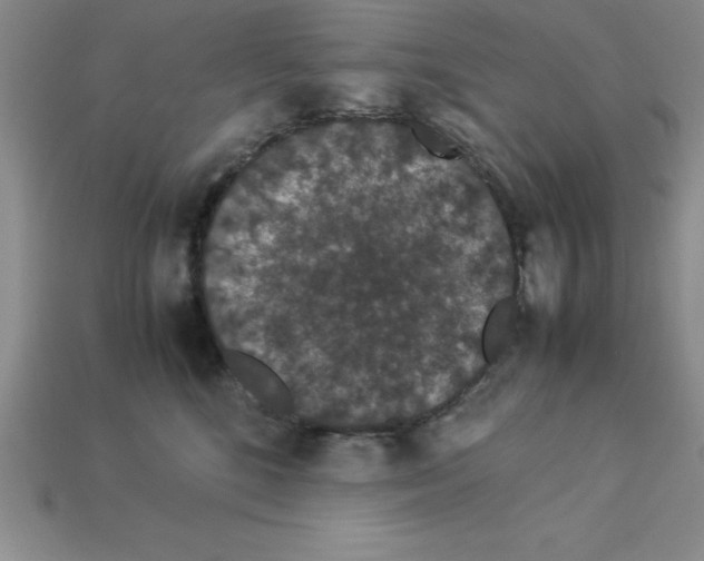 X0000112850520200910021254