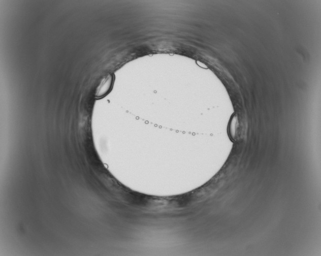 X0000112850521200910021254