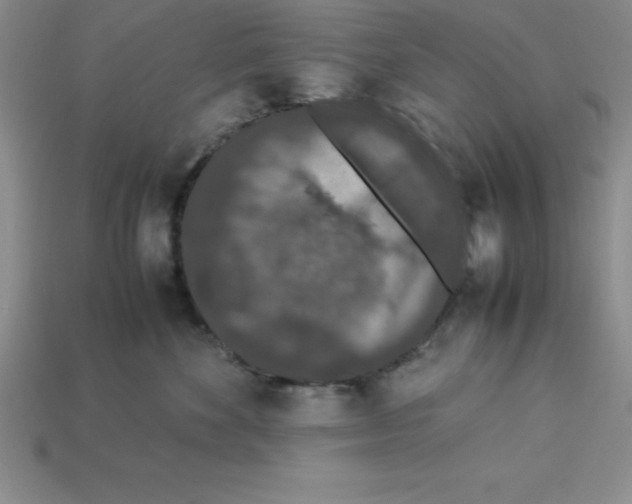 X0000112850524200910021254