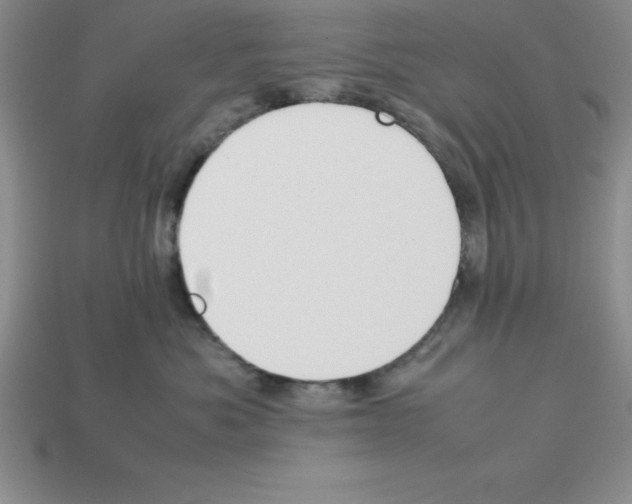 X0000112850525200910021254