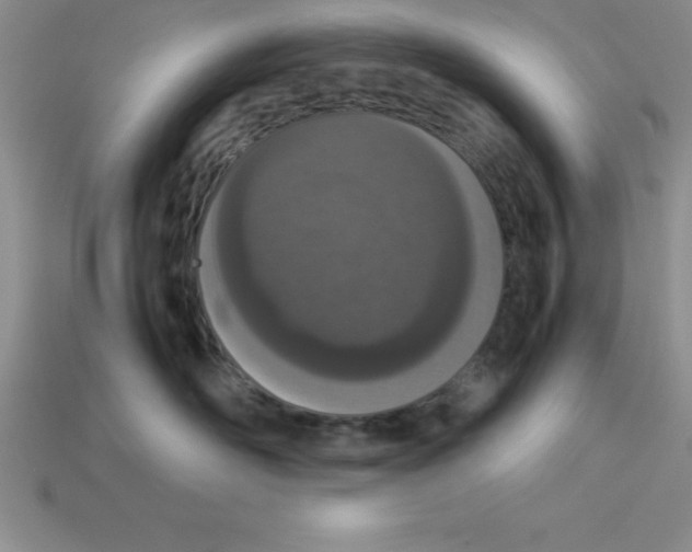 X0000112850526200910021254