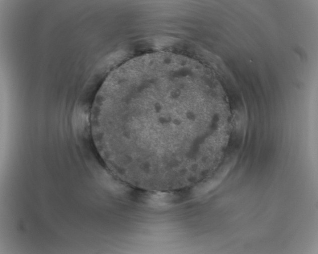 X0000112850527200910021254