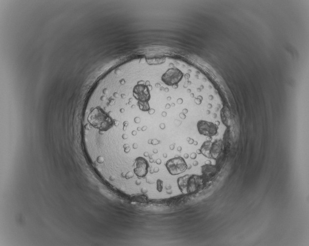 X0000112850529200910021253