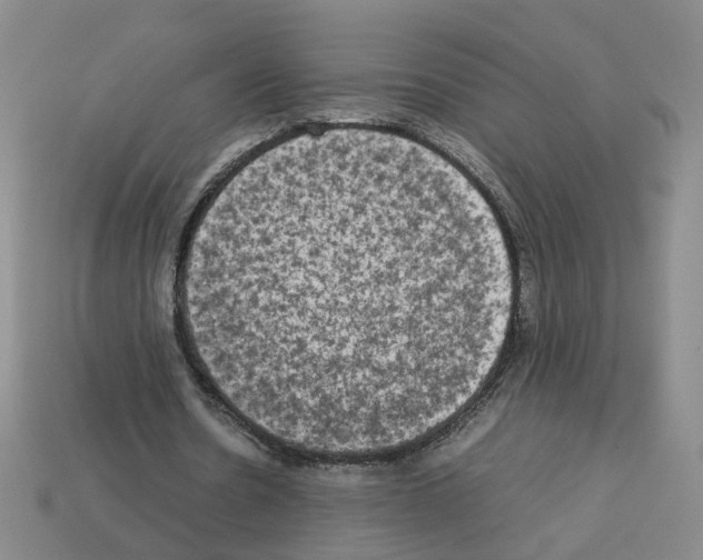 X0000112850530200910021253