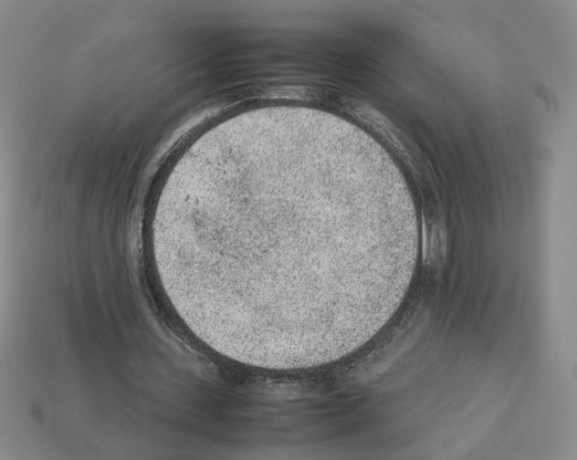 X0000112850531200910021253