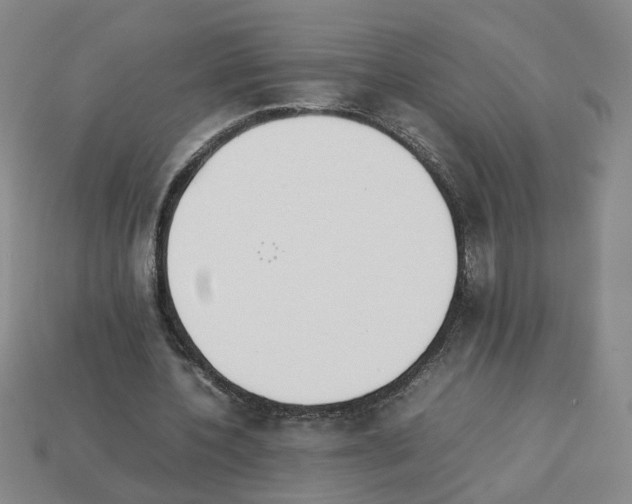 X0000112850532200910021253