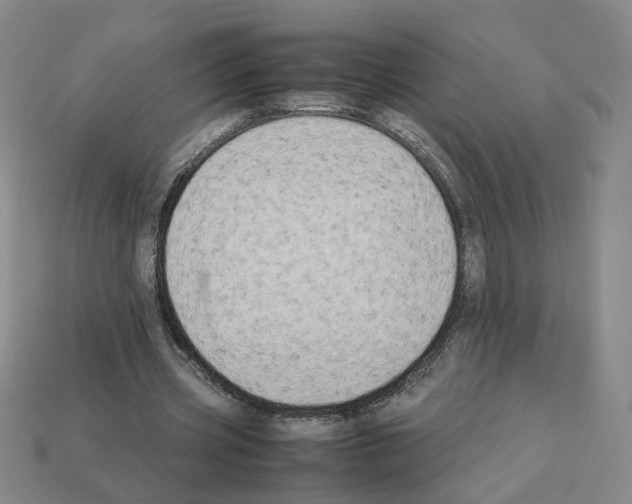 X0000112850533200910021253