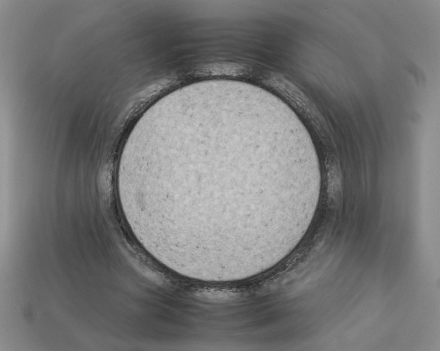 X0000112850537200910021253