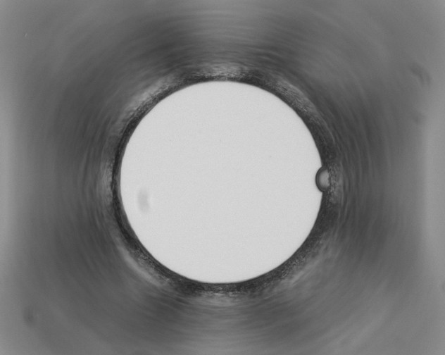 X0000112850538200910021253