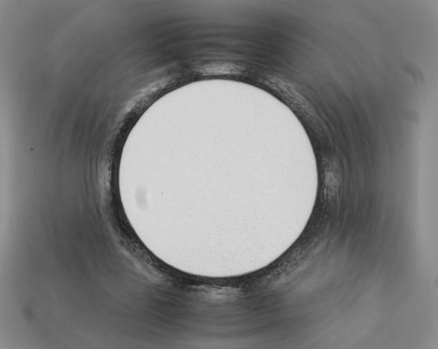 X0000112850539200910021253