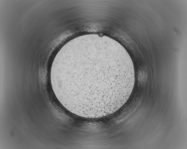 X0000112850540200910021253