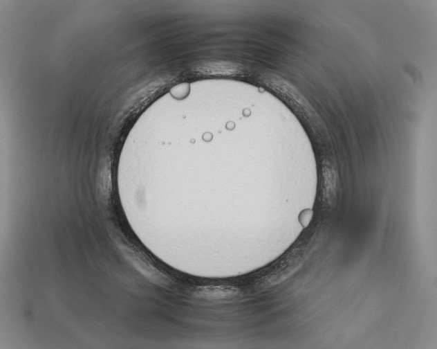 X0000112850541200910021253