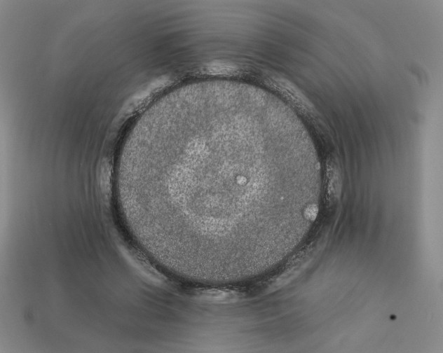 X0000112850542200910021253