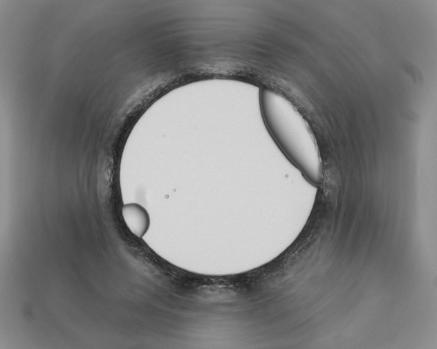 X0000112850544200910021253