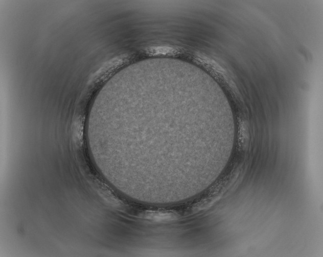 X0000112850545200910021253